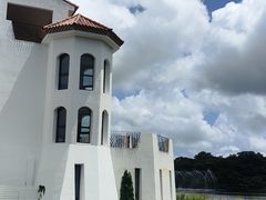 -济州森林小火车生态公园