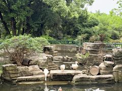 -东湖落雁景区
