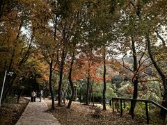 -虞山风景区