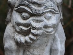 -象山森林公园