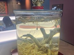 -巧婆婆特色东北菜·铁锅炖