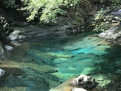 -祁门牯牛降观音堂风景区