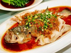 -燕春园中餐厅-北大博雅国际酒店