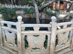 -蝴蝶泉公园