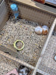 -酷嗒动物文化乐园(cutezoo西溪乐天城店)