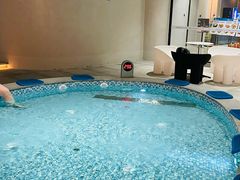 -涨巢·潮玩水疗局