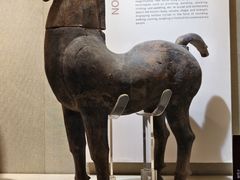 -乐山市博物馆