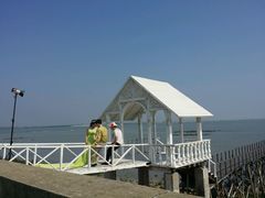 -北海金海湾红树林生态旅游区