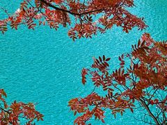 -叠溪松坪沟景区