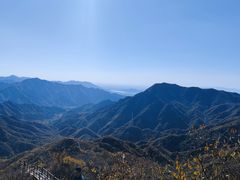 -大岭沟猕猴桃谷风景区