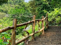 -南丹山森林王国