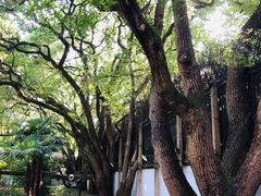 -上海宋庆龄故居纪念馆