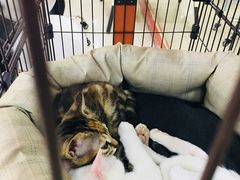 -iF摄影•全家福•证件照•形象照(南山店)