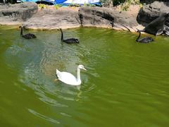 -海合安武汉极地海洋公园