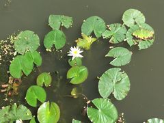 -莲湖公园