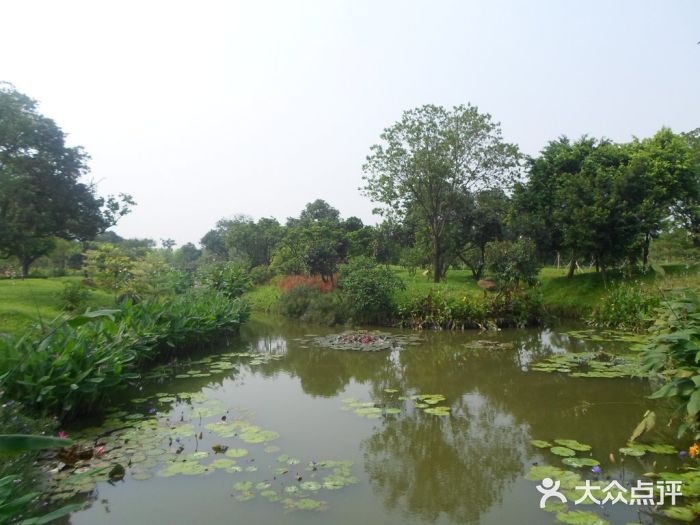 海珠國家溼地公園-圖片-廣州景點/周邊遊-大眾點評網