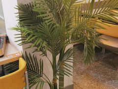 -令狐冲烤鱼·烧菜馆(达明店)