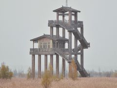 -野鸭湖国家湿地公园