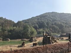 -杭州野生动物世界