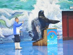 -多彩贵州城极地海洋世界