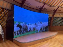 -九十九顶毡房(阜石路店)