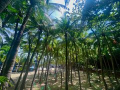 -海南分界洲岛旅游区