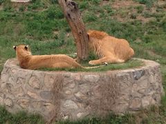 -西安秦岭野生动物园