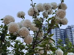 -王捌小院(红花坡店)