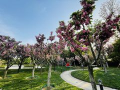 -青岛鑫江温德姆酒店