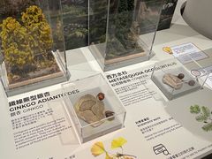 -香港科学馆