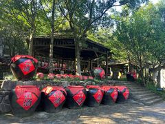 -姑婆山旅游区