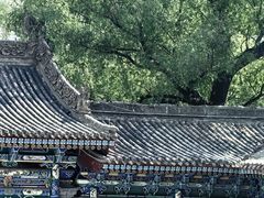 -五泉山公园