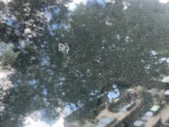 -鲨鱼皮汽车凹陷玻璃修复(静安店)