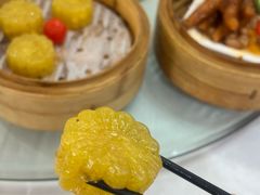 -泉龙渔村·粤式早茶·金牌烧鹅(中山三乡店)