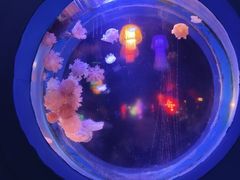 -太平洋海底世界