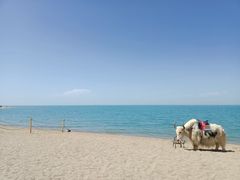 -青海湖国家重点风景名胜区