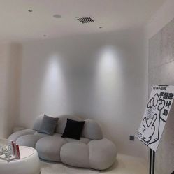 -紫御国际抗衰ZOE ANTI AGING