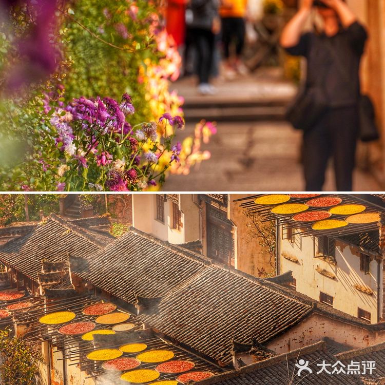 江西婺源篁岭|每逢深秋,它就美成了童话