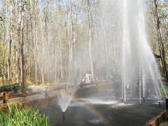 -合肥滨湖国家森林公园