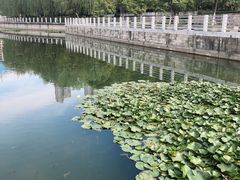 -后襄河公园