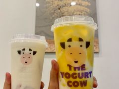 -一只酸奶牛(八一路店)