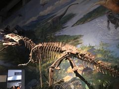 -自贡恐龙博物馆