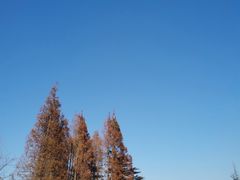 -汇泉广场