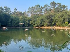 -宝墨园景区