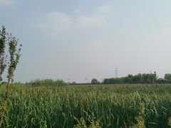 -永定河休闲森林公园