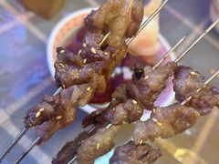 -福苗小骆驼烧烤(莲湖路店)
