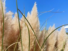 -漩门湾国家湿地公园