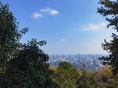 -大蜀山国家森林公园