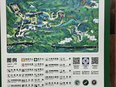 -野象谷景区