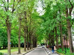 -西南交通大学(九里校区)